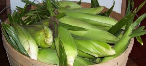 Corn