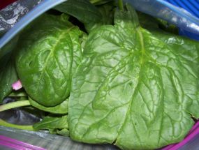 Spinach