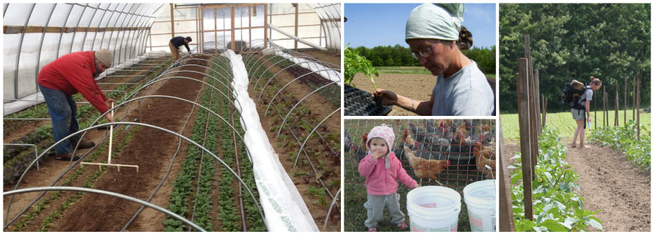 A Family of Farmers
