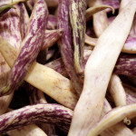 Beans