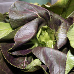 Bok Choy
