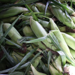 Corn