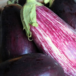 Eggplant