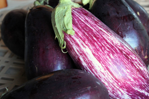 Eggplant