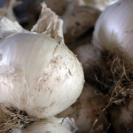 Onions