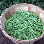 Peas