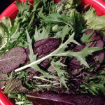 salad greens