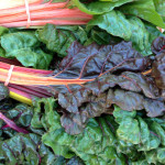 Swiss chard