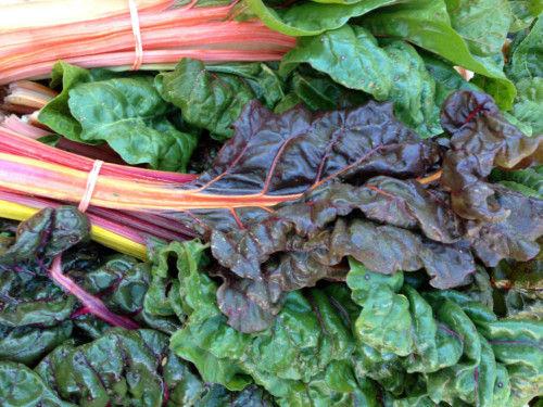 Swiss chard