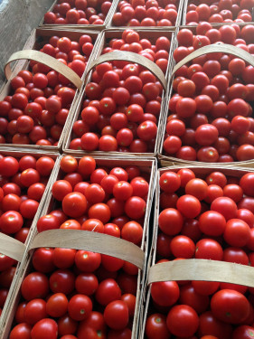 Tomatoes