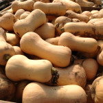 Winter squash